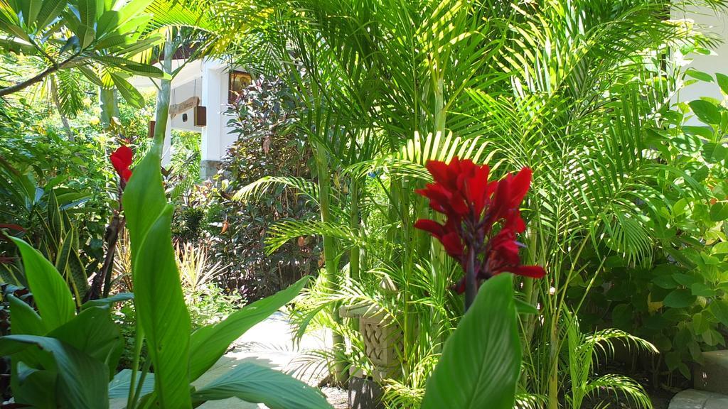 Ricel Homestay Gili Trawangan Exteriör bild