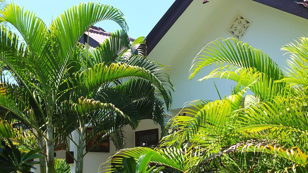Ricel Homestay Gili Trawangan Exteriör bild